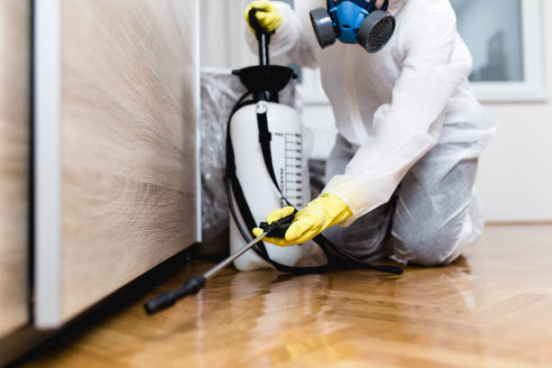 Best Affordable Pest Control Services  in Loveland Park, OH