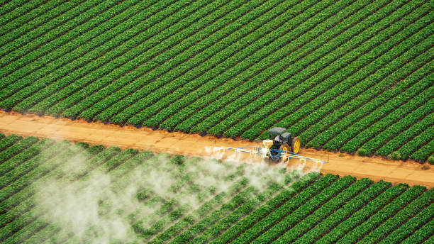 Best Commercial Pest Control Services  in Loveland Park, OH
