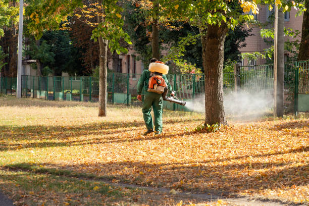 Pest Prevention Services in Loveland Park, OH